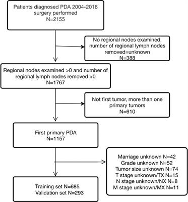 Development and validation of lymph node ratio-based nomograms for primary duodenal adenocarcinoma after surgery